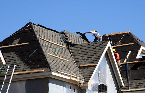 Best Roof Leak Repair  in Shreve, OH