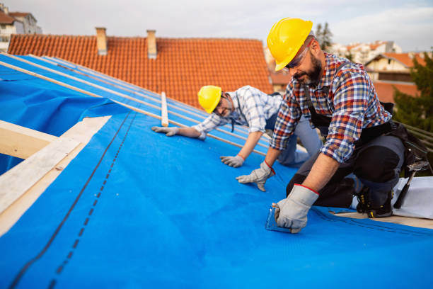Best Roof Waterproofing Services  in Shreve, OH
